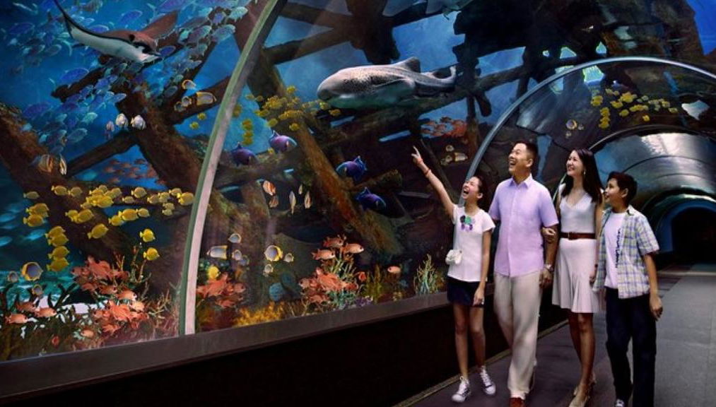 S.E.A. Aquarium Direct - Foto 1